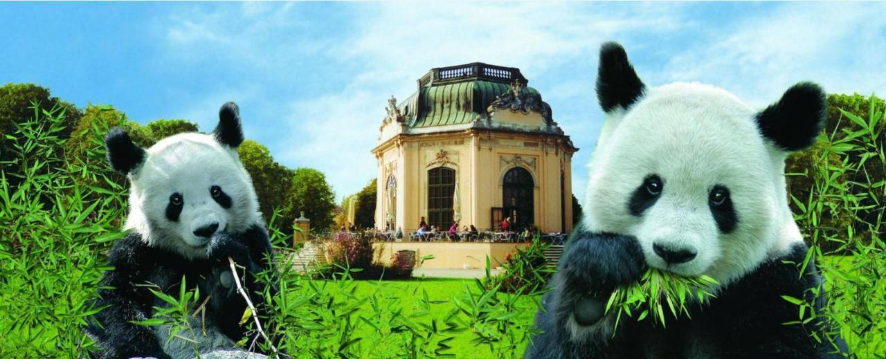 Between Schoenbrunn&the City Center. Apt. 40 Wenen Buitenkant foto